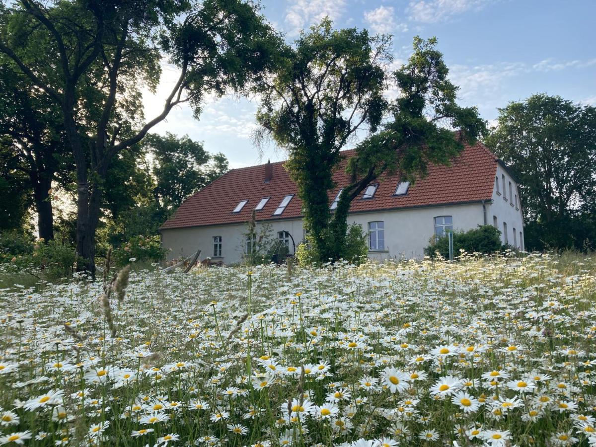 Pasterhof Eichhorst Hotel Friedland  Exterior photo